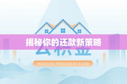 涿州揭秘你的还款新策略